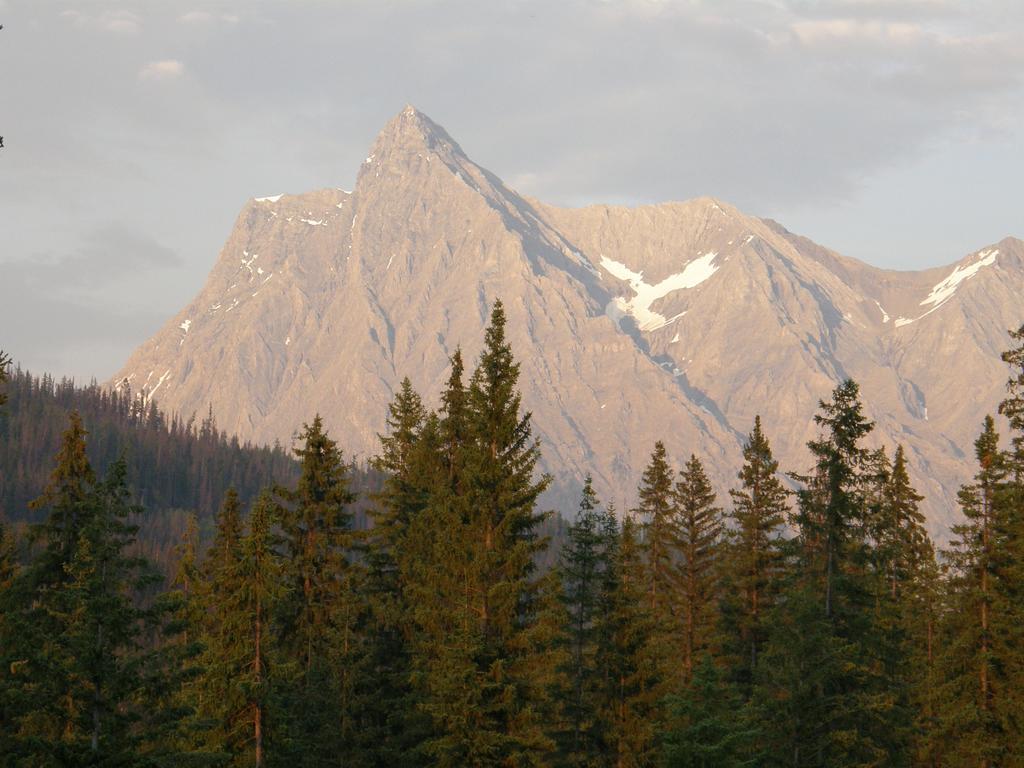 Yoho Chalets Golden Exterior foto