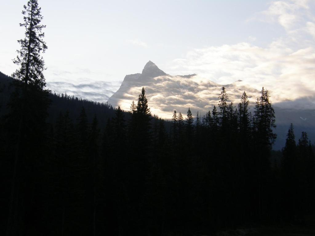 Yoho Chalets Golden Exterior foto